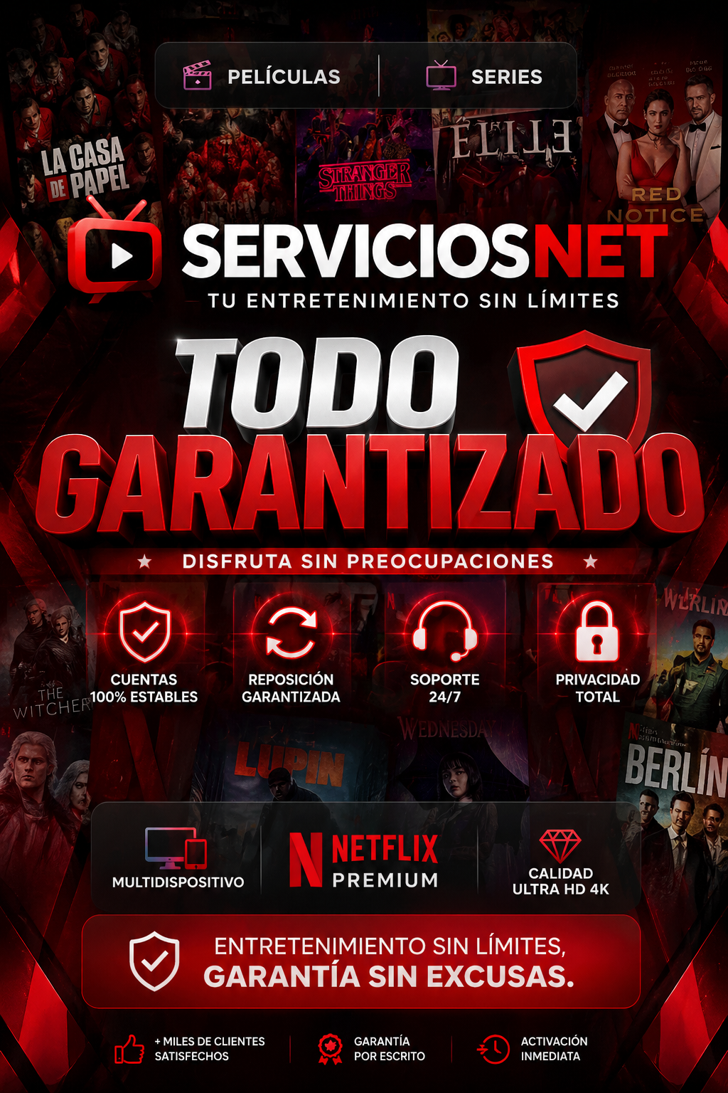 SERVICIOSNET (2)